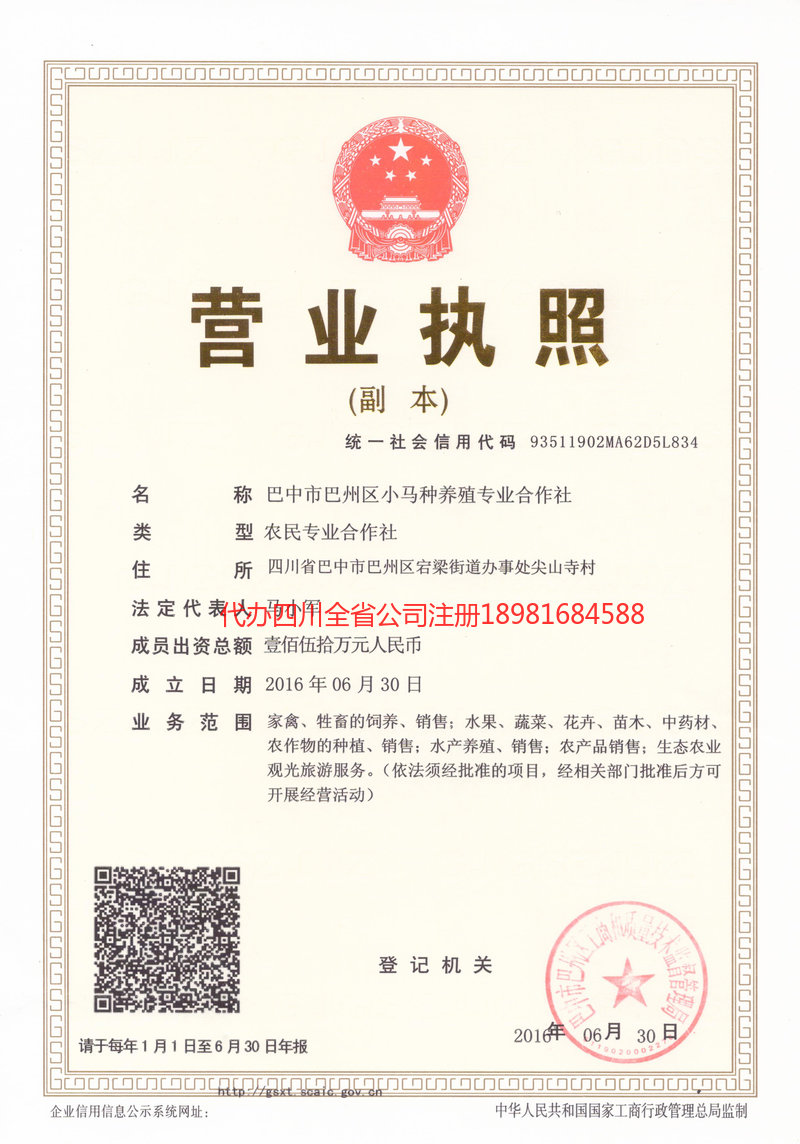 界首界首小马种养殖专业合作社